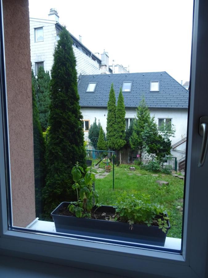 Convenient And Functional In The Center Apartament *